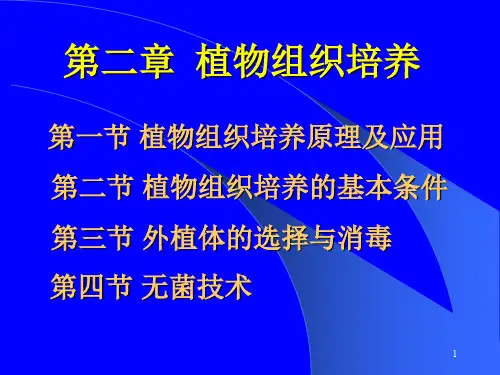 植物组织培养ppt课件