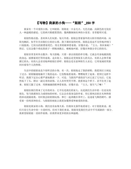 【写物】我家的小狗——“妞妞”_250字
