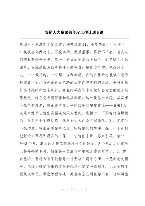 集团人力资源部年度工作计划5篇