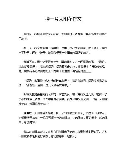种一片太阳花作文