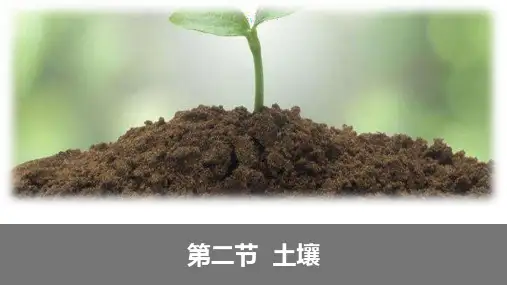 人教(2019)高一必修1      5.2《 土壤》(37张PPT)