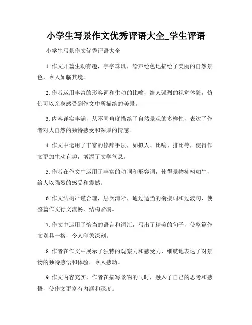 小学生写景作文优秀评语大全_学生评语