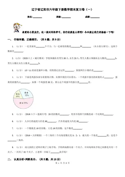辽宁省辽阳市六年级下册数学期末复习卷(一)