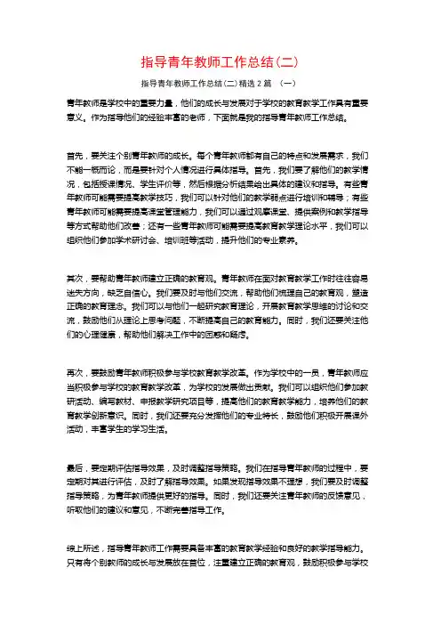 指导青年教师工作总结(二)2篇