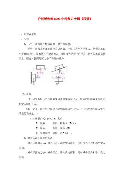 2020年中考物理复习专题 《压强》沪科版