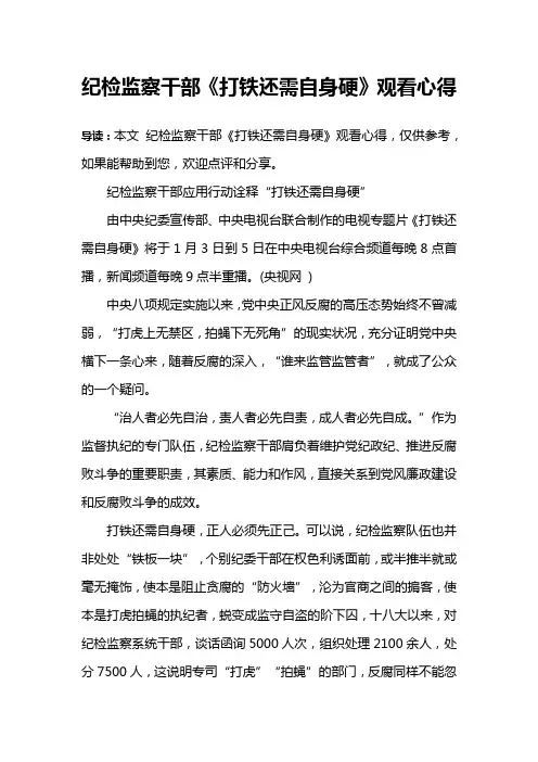 纪检监察干部《打铁还需自身硬》观看心得
