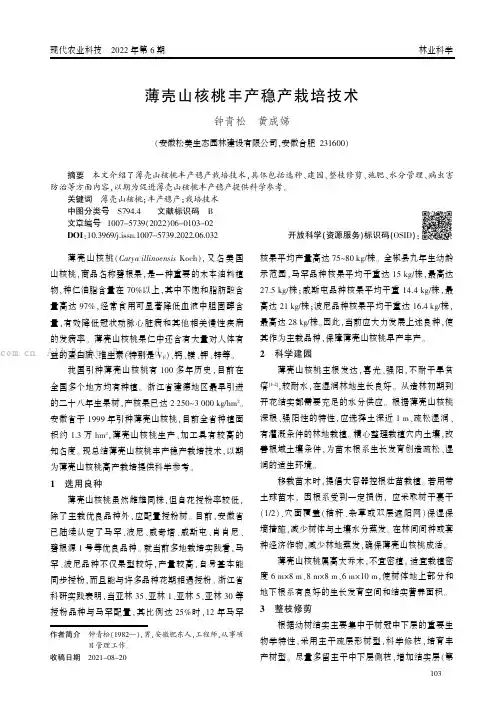 薄壳山核桃丰产稳产栽培技术