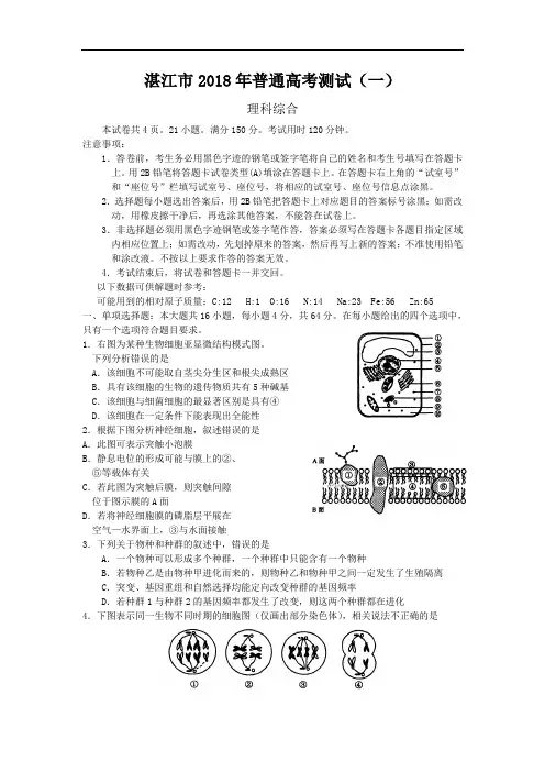湛江市2018年普通高考测试“一模”(理综) 精品