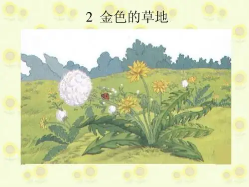 2金色的草地二次修改