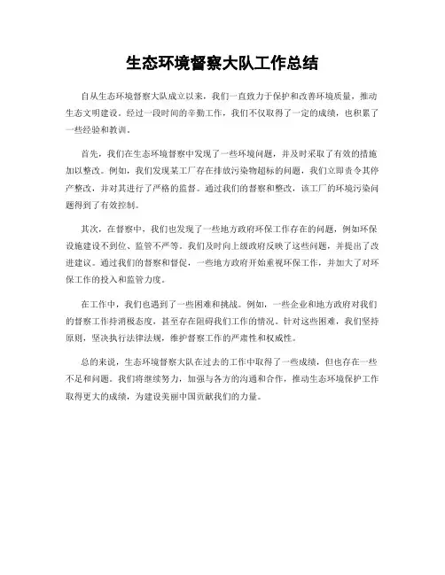 生态环境督察大队工作总结