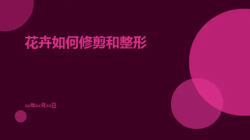 花卉如何修剪和整形