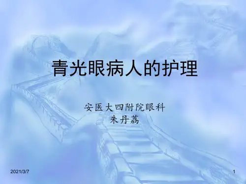 眼部护理查房PPT课件