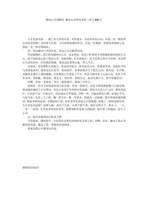 触动心灵的瞬间 触动心灵的风景初三作文600字