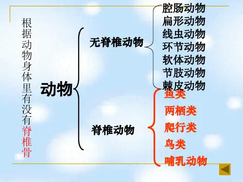 北师大版生物八年级下册 7.22.4 动物的主要类群 课件 (1)
