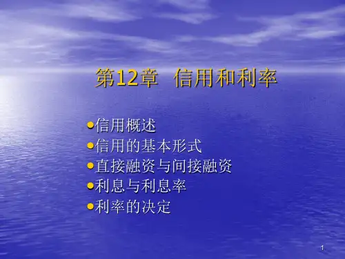 信用和利率PPT课件 