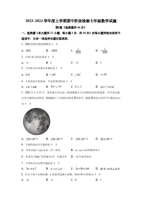 山东省临沂市临沭县2023-2024学年七年级上学期期中数学试题(含解析)