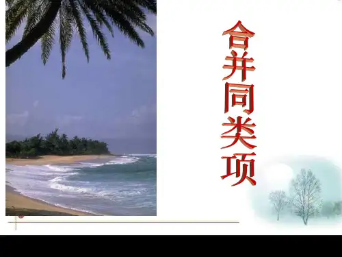 华师版初一数学合并同类项1