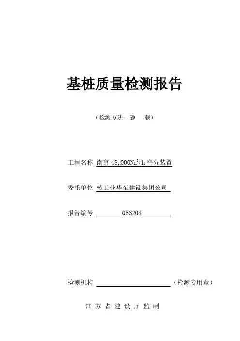 试桩检测报告(电子版)
