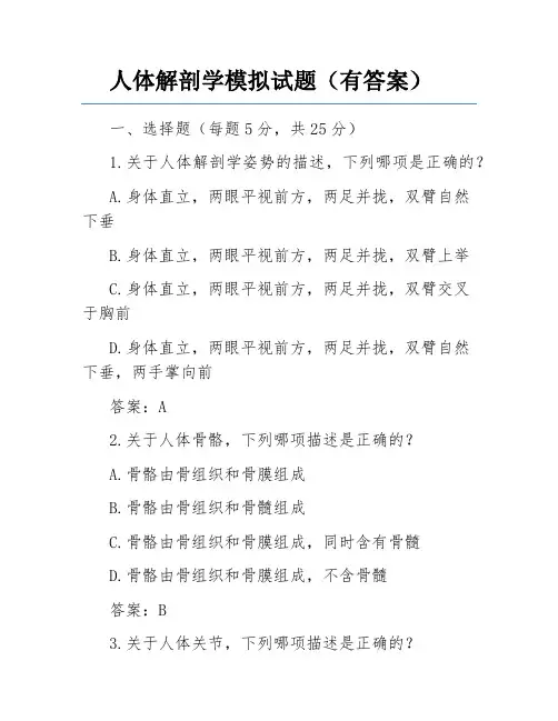 人体解剖学模拟试题(有答案)