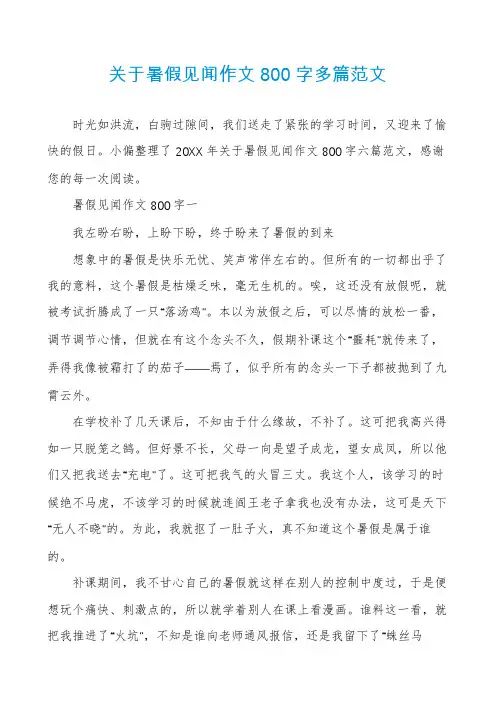关于暑假见闻作文800字多篇范文