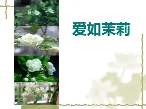 苏教版五年级语文下册《17爱如茉莉》课件
