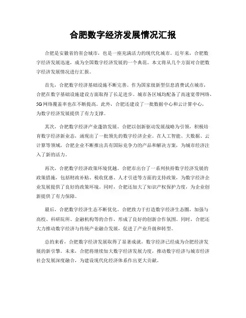 合肥数字经济发展情况汇报