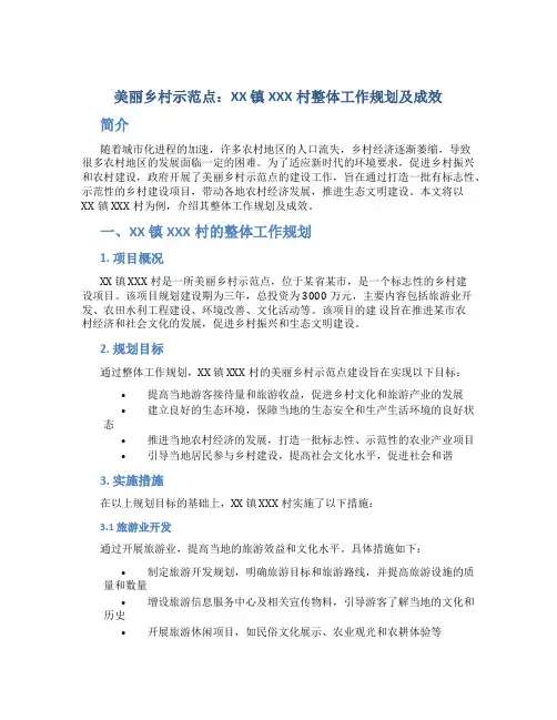 美丽乡村示范点：XX 镇XXX村整体工作规划及成效