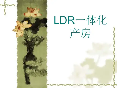 产科LDRP