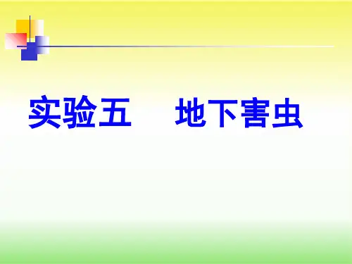 地下害虫(农业昆虫实验课)