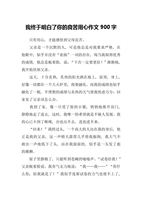 我终于明白了你的良苦用心作文900字