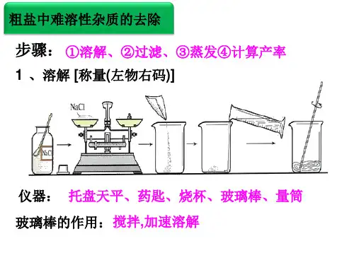 人教版九年级化学下册《粗盐中难溶性杂质的去除》精品课件ppt