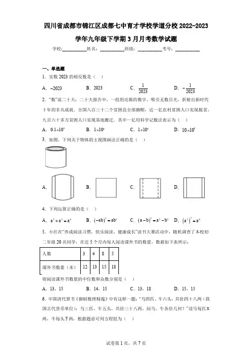 四川省成都市锦江区成都七中育才学校学道分校2022-2023学年九年级下学期3月月考数学试题