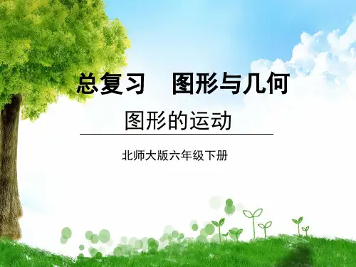 北师大版数学六年级下册第3课时 图形的运动课件