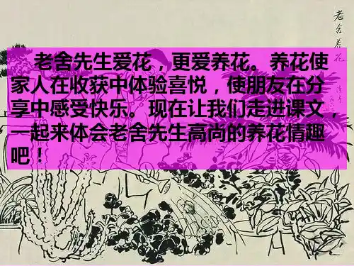 北师大版六年级下语文-养花 课件-