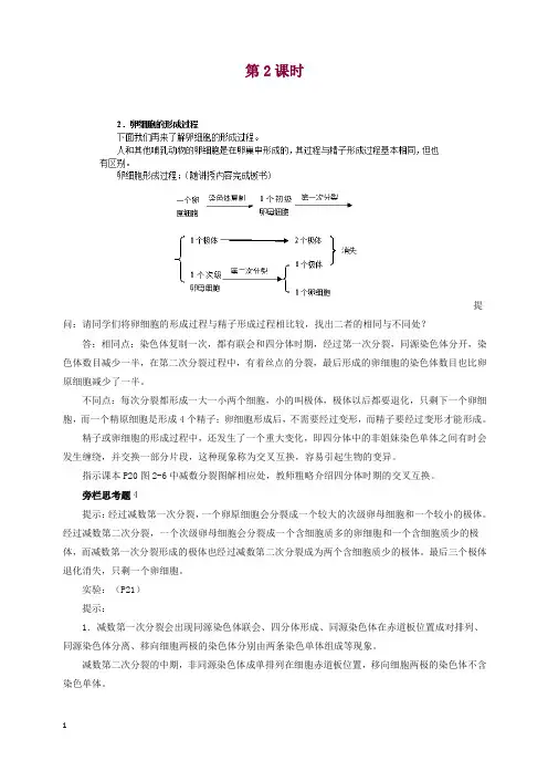 人教版高一生物必修二：2.1《减数分裂和受精作用》b2教案.doc