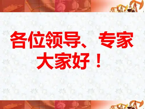 找堵水工艺完善与应用PPT课件