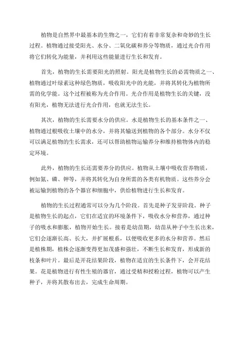 五年级科学——植物的生长过程