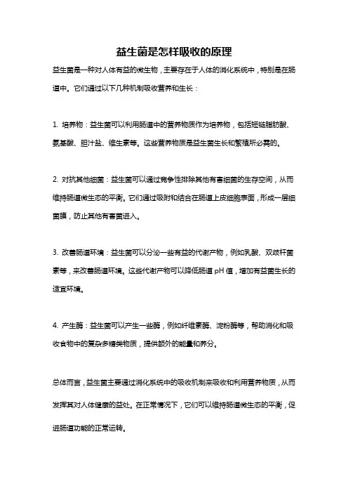 益生菌是怎样吸收的原理