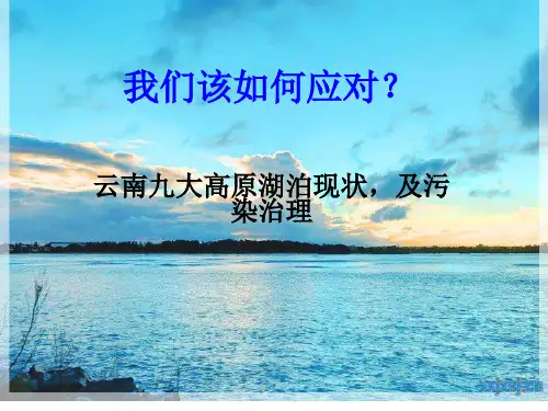 云南九大高原湖泊环境现状