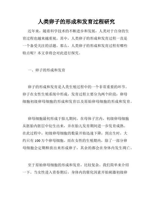 人类卵子的形成和发育过程研究