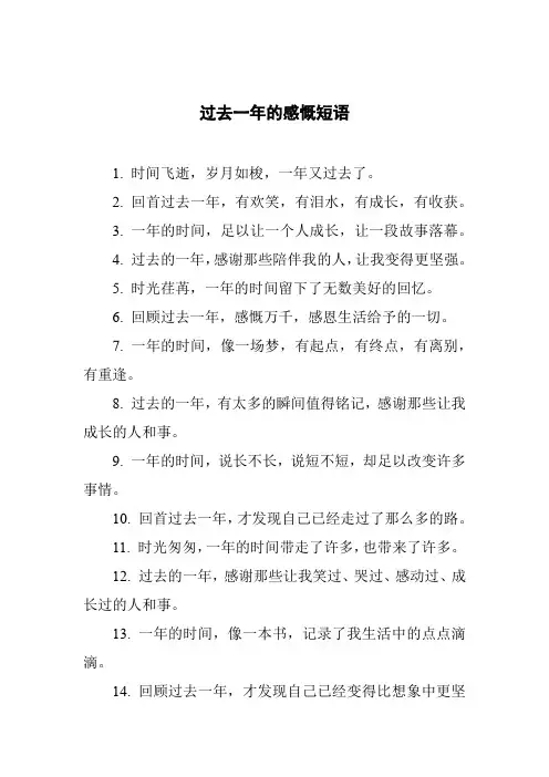 过去一年的感慨短语