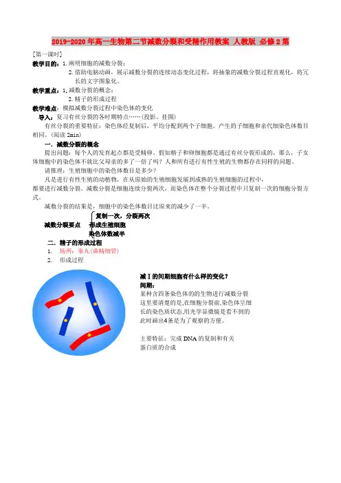 2019-2020年高一生物第二节减数分裂和受精作用教案 人教版 必修2第