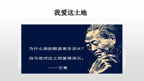 语文人教部编九年级上册 我爱这土地优秀课件