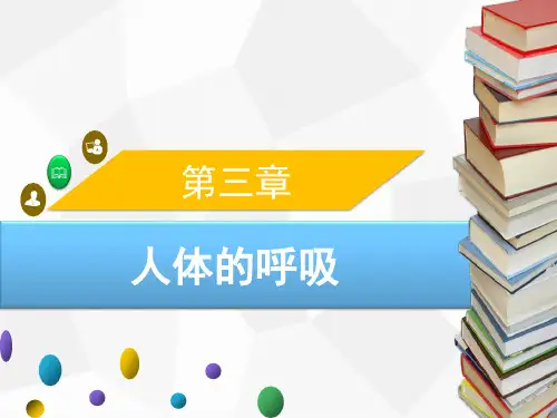 人教版生物七年级下册课件：第三章 人体的呼吸  章末小结课件