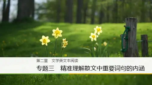 2018版高考语文二轮专题复习与增分策略：文学类文本阅读(1)(全国通用)语文课件PPT