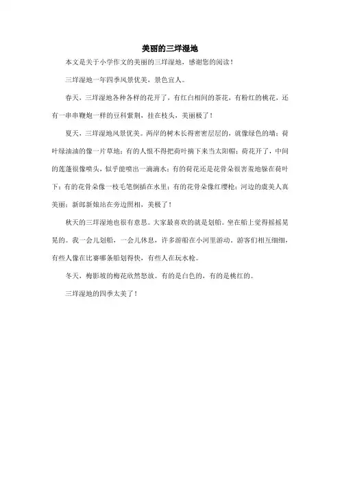 美丽的三垟湿地_小学作文