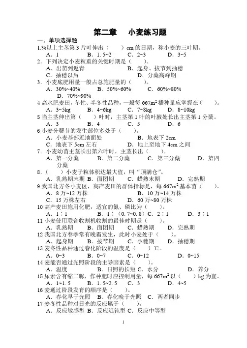小麦练习题