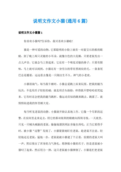 说明文作文小猫(通用6篇)