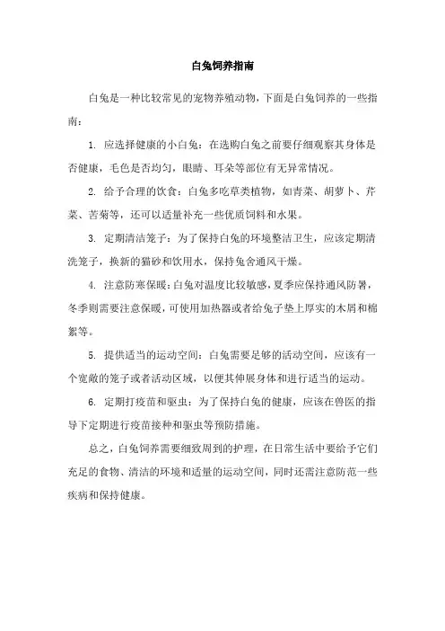 白兔饲养指南
