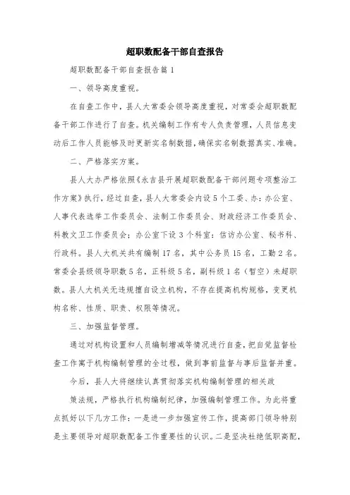 超职数配备干部自查报告